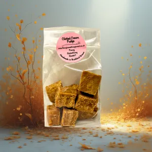 bag-of-fudge